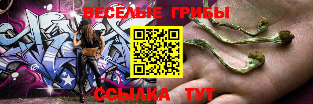 Галлюциногенные грибы Psilocybe Балахна