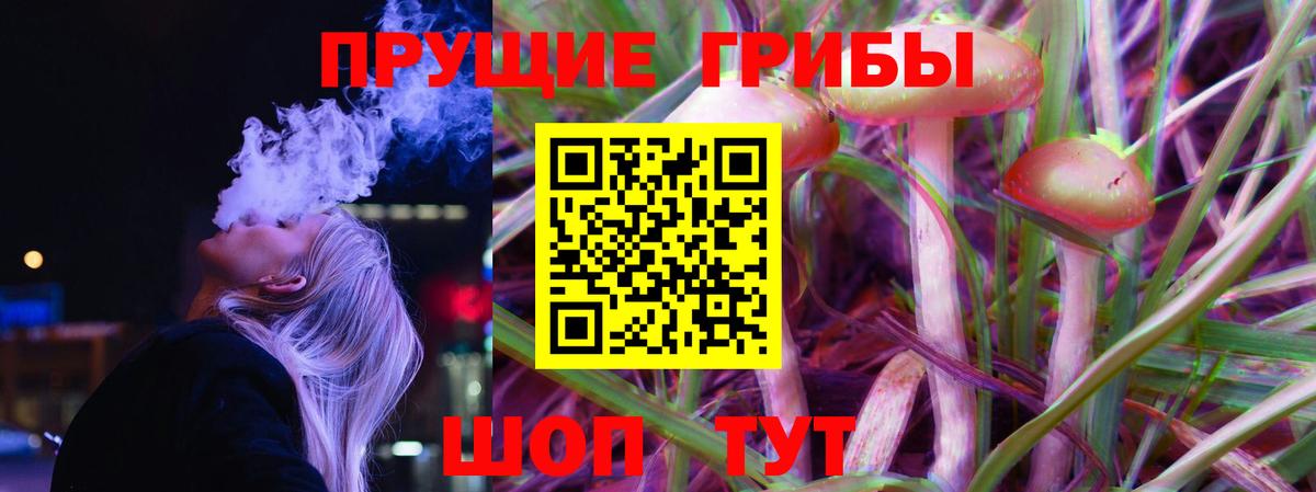 Балахна  Псилоцибиновые грибы мицелий  Вход с VPN 